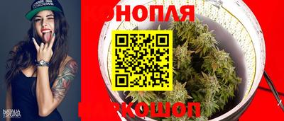 прущие грибы Ставрополь