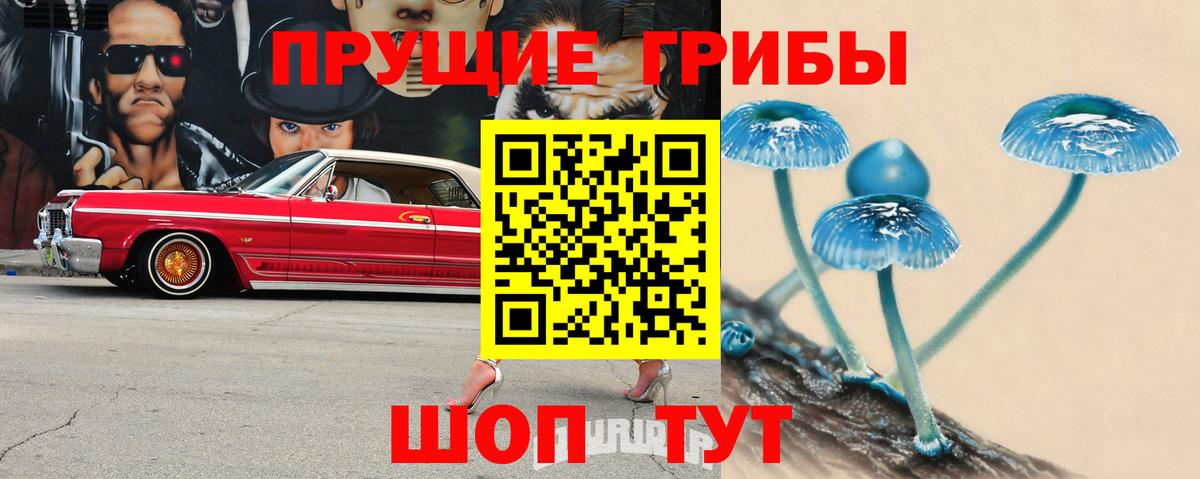 Пенза  Псилоцибиновые грибы ЛСД  Вход с VPN 